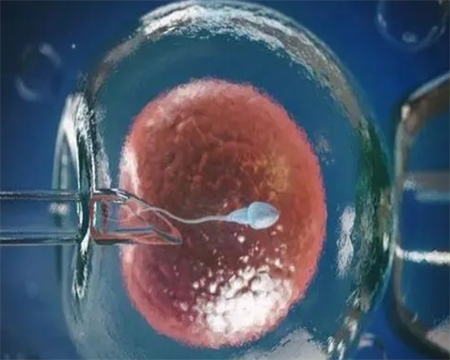 供卵试管对子宫内膜有什么要求？2026做供卵试管真的很难等吗